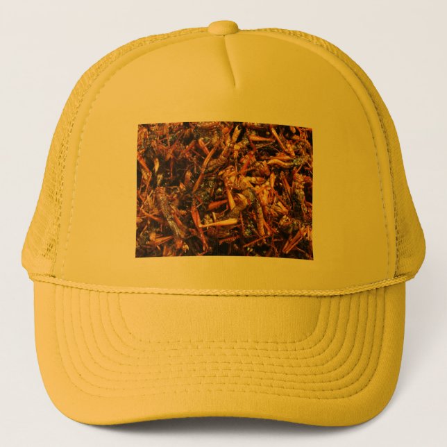 Fried Grasshopper (Takkataen Thot) Asian Food Trucker Hat (Front)