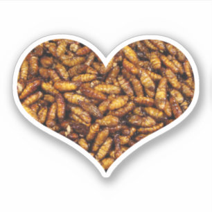 Fried Silk Worms Heart