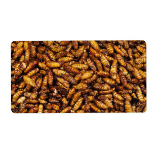 Fried Silk Worms ... Thai Street Food