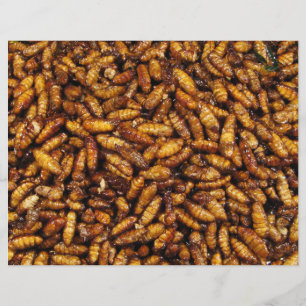 Fried Silk Worms ... Thai Street Food Flyer