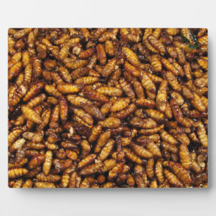 Fried Silk Worms ... Thai Street Food Plaque