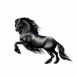 Frieisian horse, black stallion photo sculpture magnet