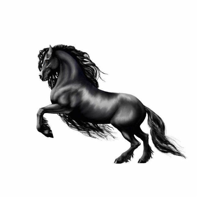 Frieisian horse, black stallion photo sculpture magnet (Front)