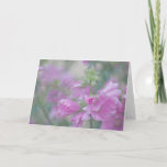 Friend Birthday Card<br><div class="desc">Rose Mallow flower. A wild flower in some areas. Photography and artwork by Sandra Foster © Sandra Foster Designs.</div>