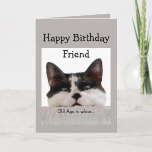 Friend Birthday Old Age Over the Hill, Cat Humor Card