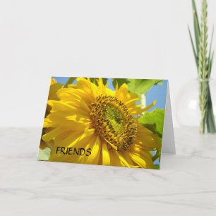 Friend Cards SUNFLOWERS SUN FLOWERS GREETING CARDS