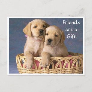 Friend Labrador Retriever Puppy Greeting Post Card