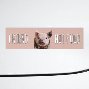 "friend not food" vegan with cute piglet bumper sticker
