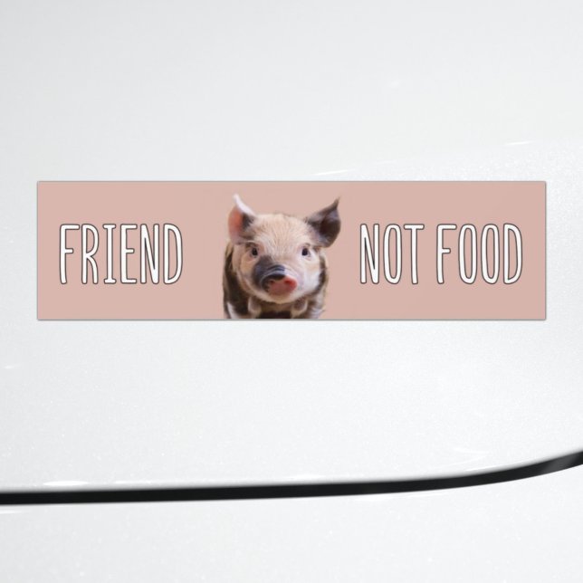"friend not food" vegan with cute piglet bumper sticker (Creator Uploaded)