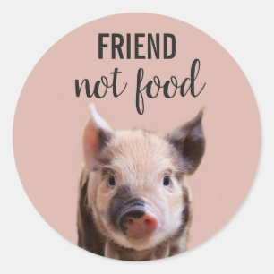 friend, not food with cute piglet vegan classic round sticker