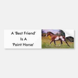 Friend Paint Horse Bumper Sticker