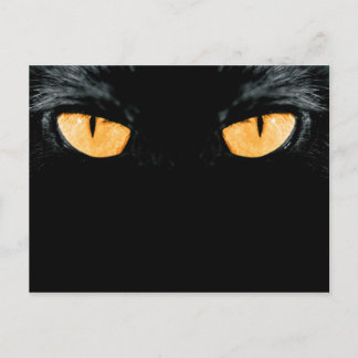 friend postcard