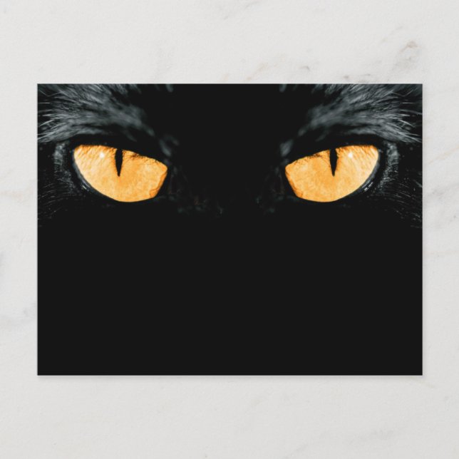 friend postcard (Front)