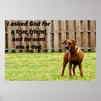 Friend Poster