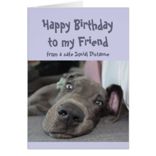 Friend Social Distancing Birthday Great Dane Dog