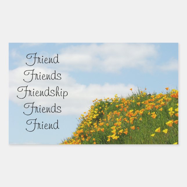 Friend stickers Friends Friendship Blue Sky Poippy (Front)