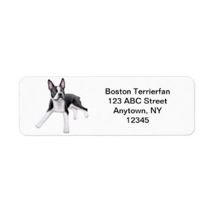 Friendly Boston Terrier Customisable