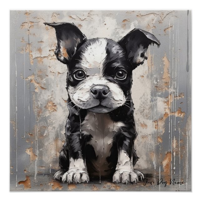 Friendly Boston Terrier Puppy Dogs  005 - Raimon P Poster (Front)