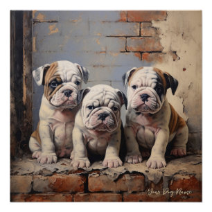 Friendly Bulldog Puppy Dogs  003 - Raimon Paladino Poster