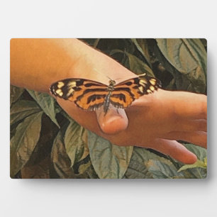 Friendly Butterfly Plaque