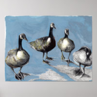 Friendly Canada Geese 2012