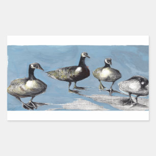 Friendly Canada Geese 2012 Rectangular Sticker
