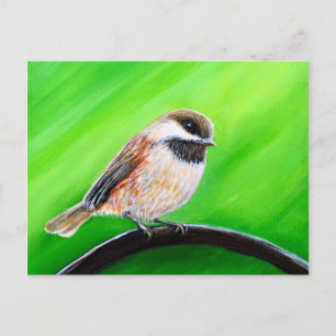 Friendly Chickadee Painting Postcard