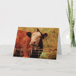 Friendly Cow, Father's Day Card
