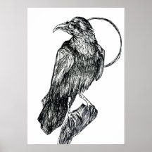 Friendly Crow Poster