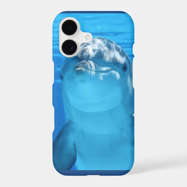 Friendly Dolphin Photo (Back)