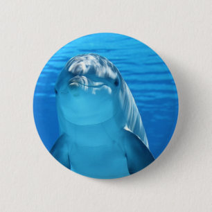 Friendly Dolphin Photo 6 Cm Round Badge
