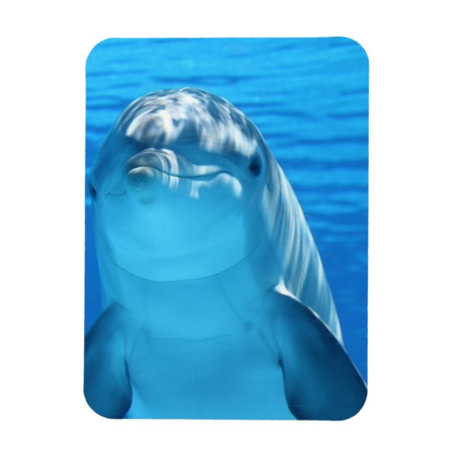 Friendly Dolphin Photo Magnet (Vertical)