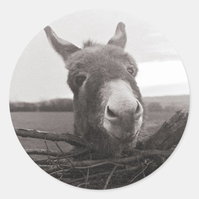 Friendly Donkey - Vintage Photo Classic Round Sticker (Front)