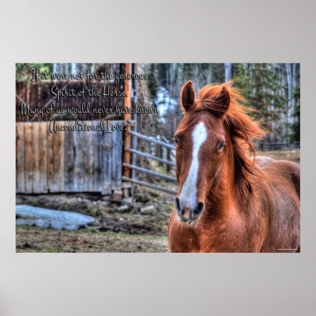Friendly Dun Ranch Horse Photo & Poem Poster (Front)