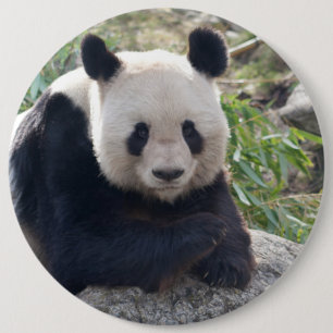 Friendly Giant Panda 6 Cm Round Badge