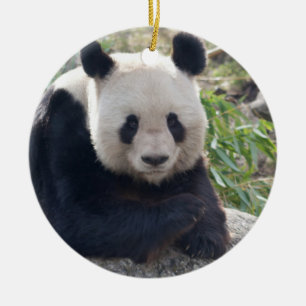Friendly Giant Panda Ceramic Tree Decoration