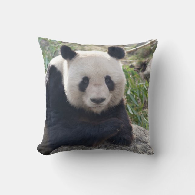Friendly Giant Panda Cushion (Front)