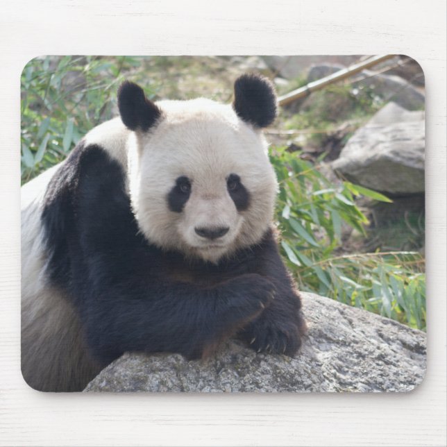 Friendly Giant Panda Mouse Mat (Front)
