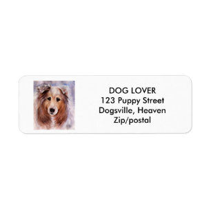 FRIENDLY GOLDEN COLLIE