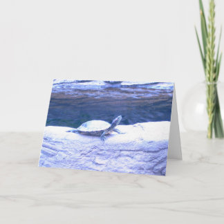 Friendly Greetings 1 Card