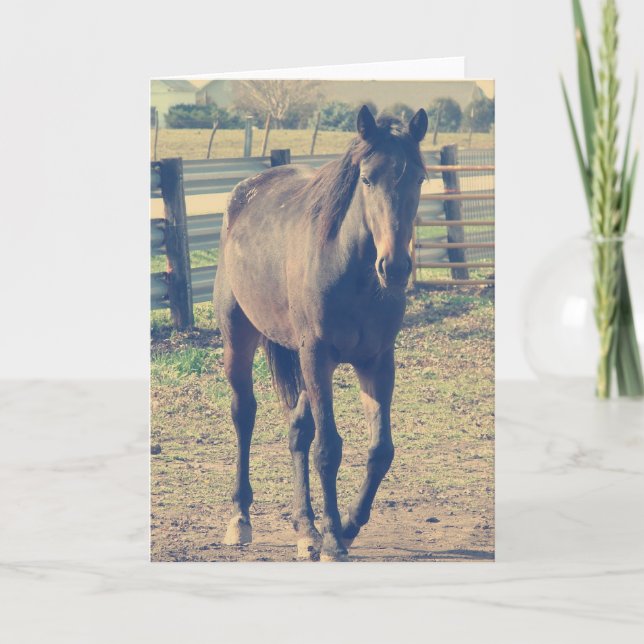 Friendly Horse Card (Front)