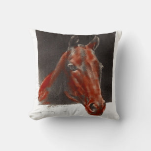 friendly horse cushion