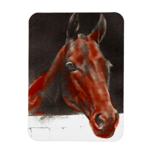 friendly horse magnet