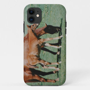 FRIENDLY HORSES iPhone 11 CASE