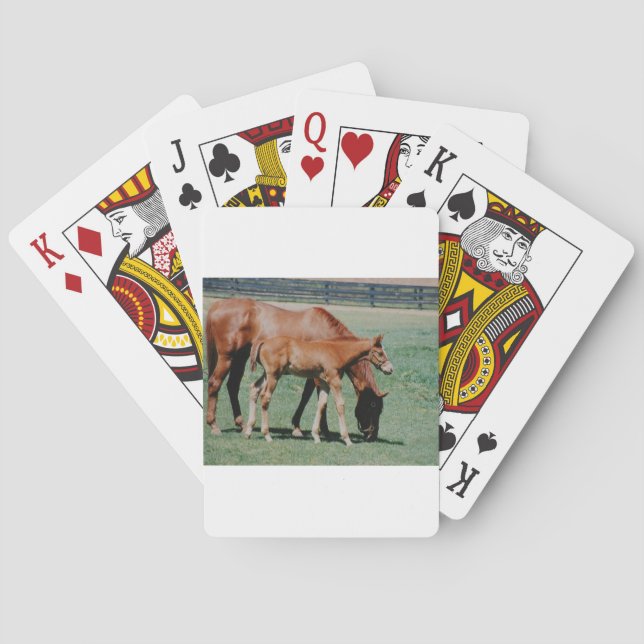 FRIENDLY HORSES PLAYING CARDS (Back)