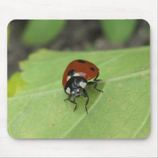 Friendly Ladybug Mouse Mat