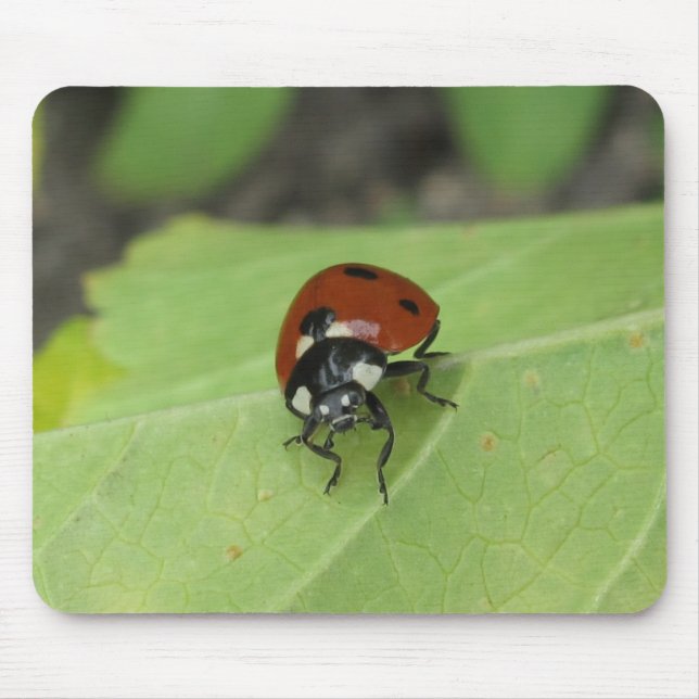 Friendly Ladybug Mouse Mat (Front)