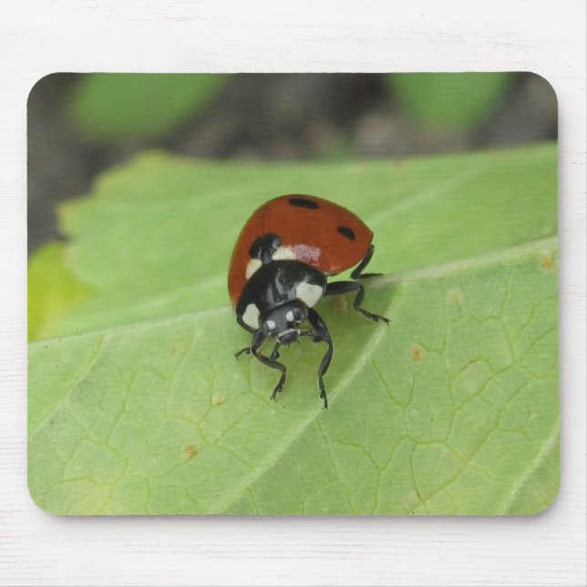 Friendly Ladybug Mousepad (Front)