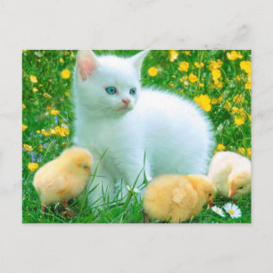 Friendly Loyal Absolutely Keen Postcard