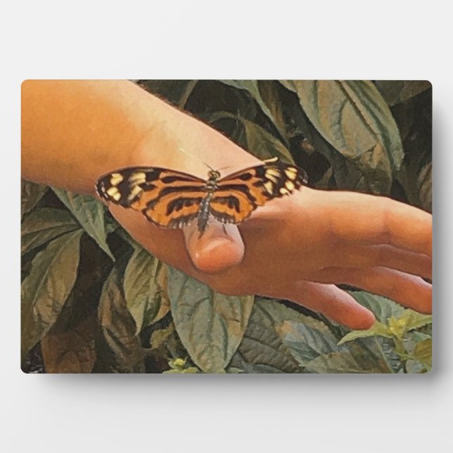 Friendly Monarch Butterfly Plaque (Front)